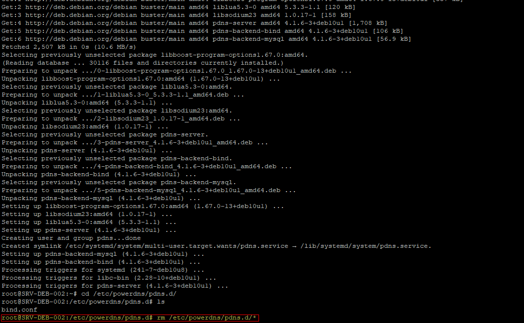 PowerDNS - rm pdns.d.png