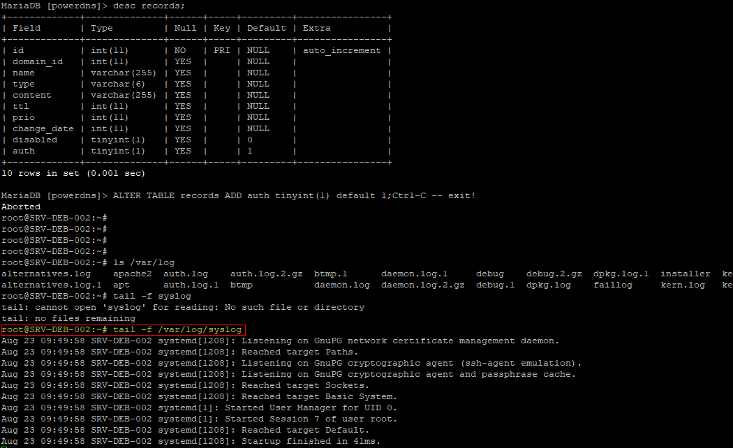 PowerDNS - syslog.png