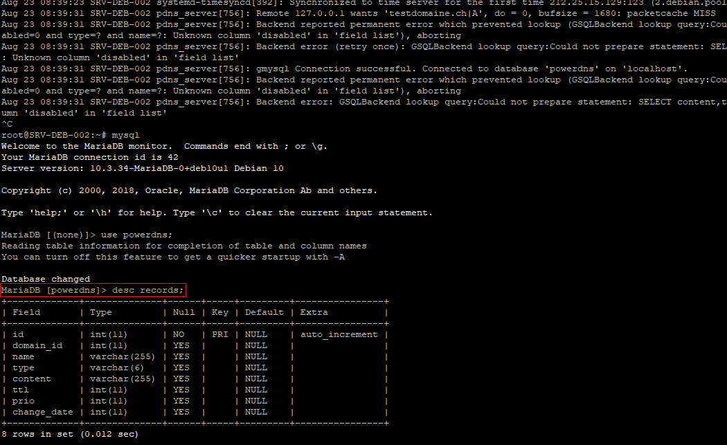 PowerDNS - desc records1.png