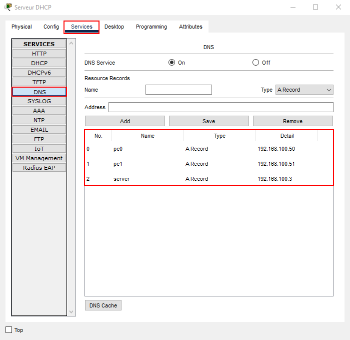 Server DNS.png