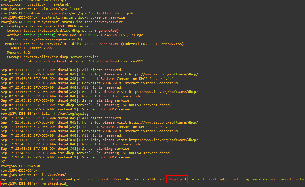 DHCP - rm DHCPDpid.png