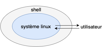 Shell coquille.png