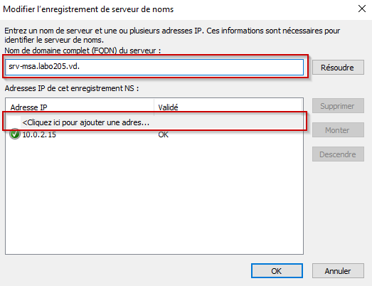 Dns config 10.2.png
