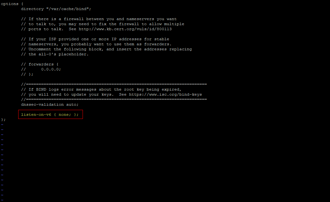 Bind9 - vim named.conf.option.png