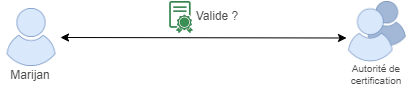 Https connexin 03.drawio.png