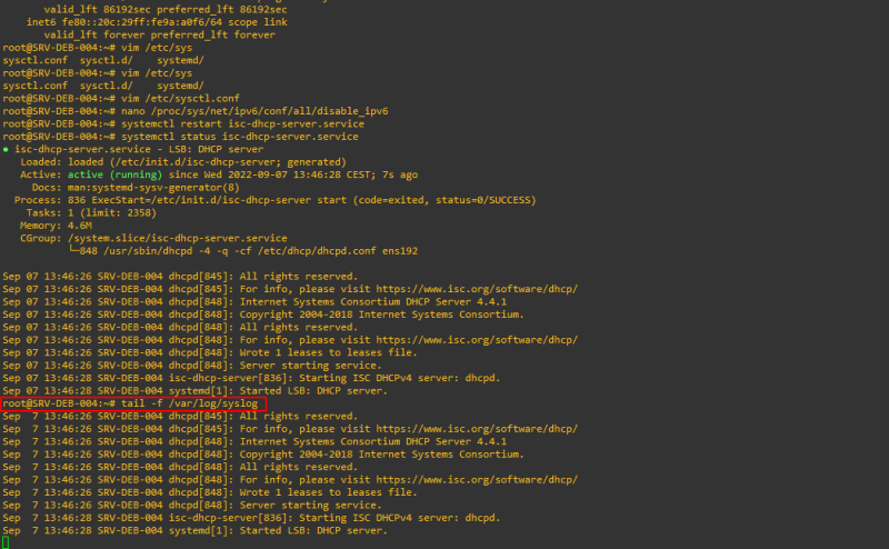 Fichier:DHCP - syslog.png