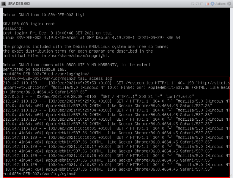 Fichier:Logs Nginx - log.png
