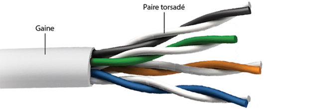 Pair torasde 1.png